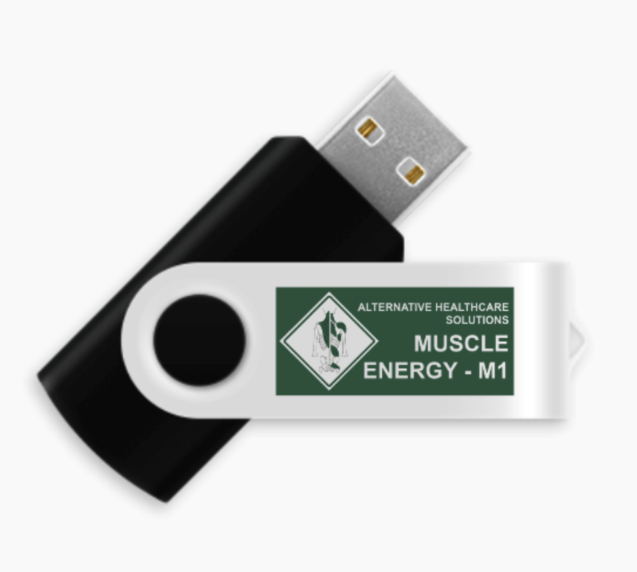 M1 Techniques Flash Drive